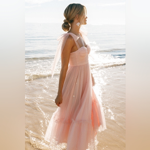 Vici Frances Tulle Polka Dot Midi Dress - BLUSH PINK - Picture 2 of 16